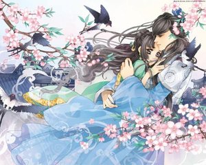 大菠萝导航福建入口导入